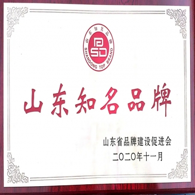 喜報(bào)！山東天工入選2020年度山東知名品牌