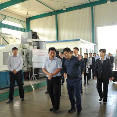 全市金融系統(tǒng)企業(yè)現(xiàn)場(chǎng)觀摩團(tuán)蒞臨公司參觀指導(dǎo)工作